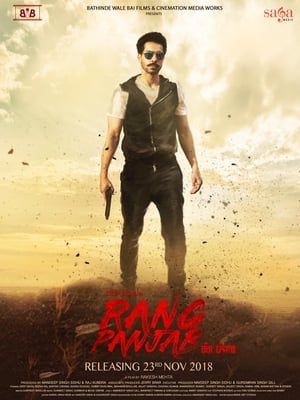 Rang Panjab (2018) Punjabi Movie Pre-DVDRip x264 [700MB] - Movierulz