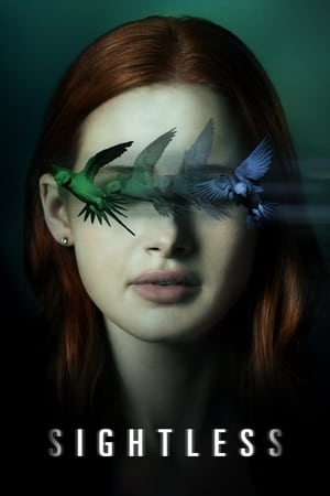 Sightless 2020 Hindi Dual Audio 720p Web-DL [800MB] - Movierulz